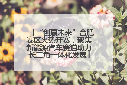 “创赢未来”合肥赛区火热开赛，聚焦新能源汽车赛道助力长三角一体化发展